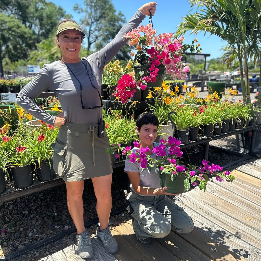 Ladies Holding Bougainvillea Hanging Baskets