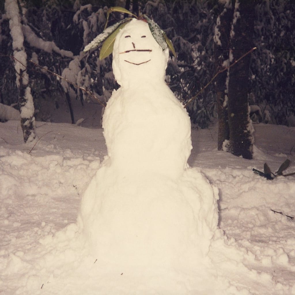 Snowman in the Woods