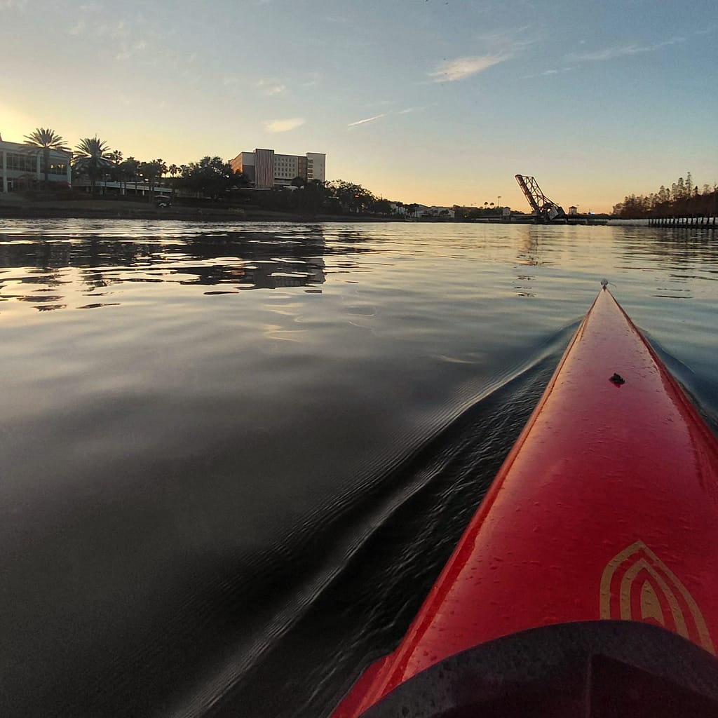 View of the River from a Crew Boat with Dolphins Far Away