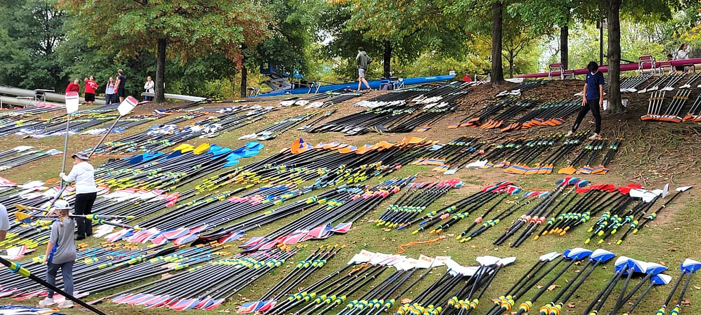 Hill of Oars at Rowing Regatta