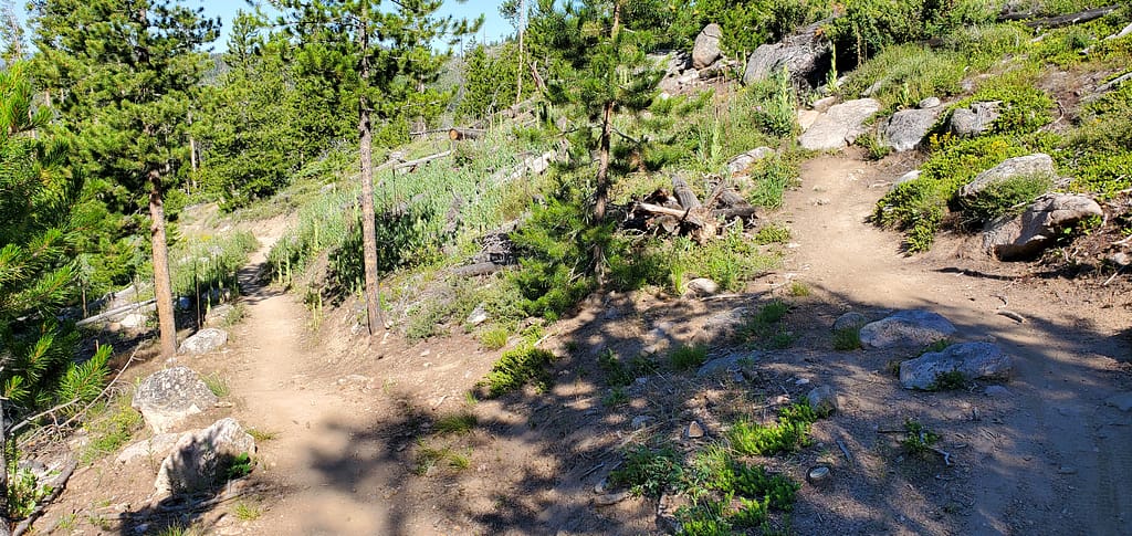 Winding Mountain Bike Trail in Colorado