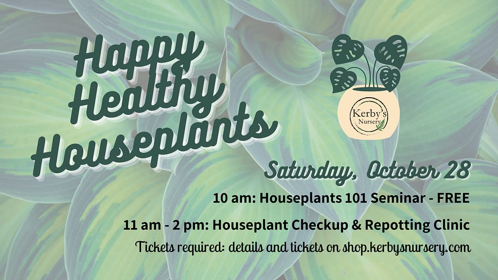 Happy Healthy Houseplants at Kerby's Nursery