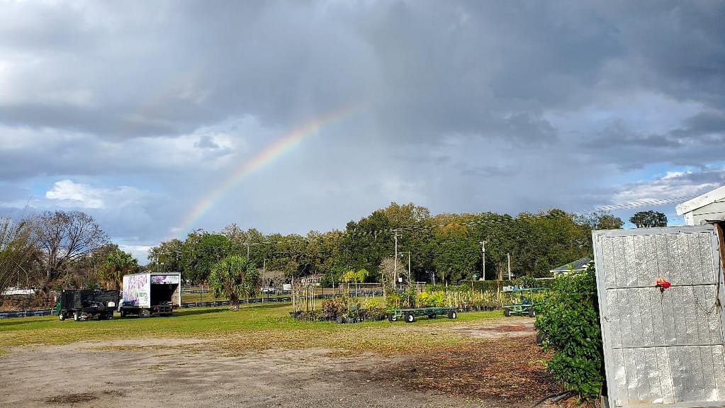 Rainbow Over the Kerby's Field