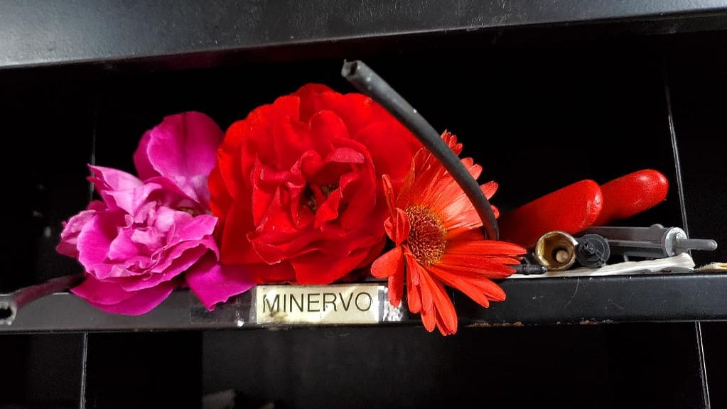 Minervo's Staff Mailbox with Flowers in It