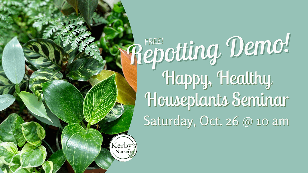 Kerby's Nursery Repotting Demo and Happy, Healthy Houseplants Seminar Info, October 26, 2024