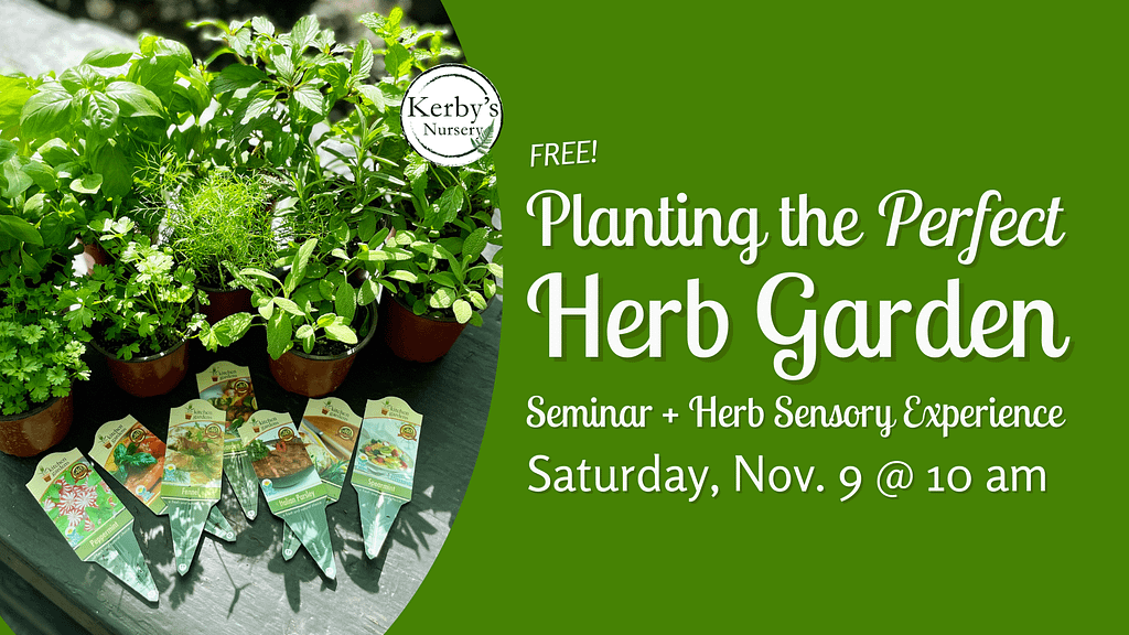 Kerby's Nursery Herb Gardening Seminar Info, November 9, 2024