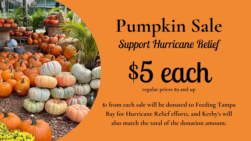 Kerby's Nursery Pumpkin Sale for Hurricane Relief