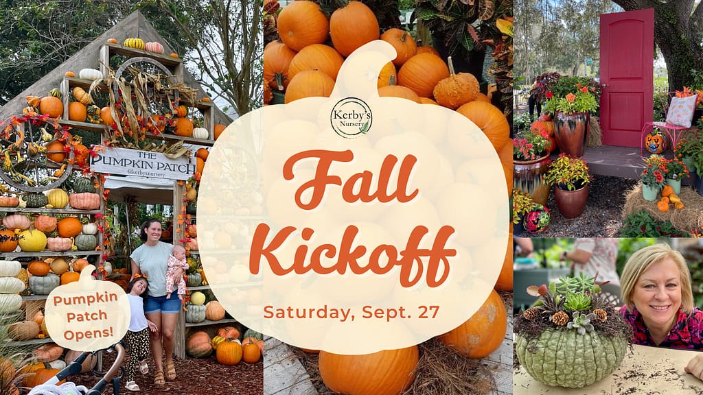 Kerby's Nursery Fall Kickoff Event on September 27, 2025 with Pictures of Pumpkins and People and Fall Flowers