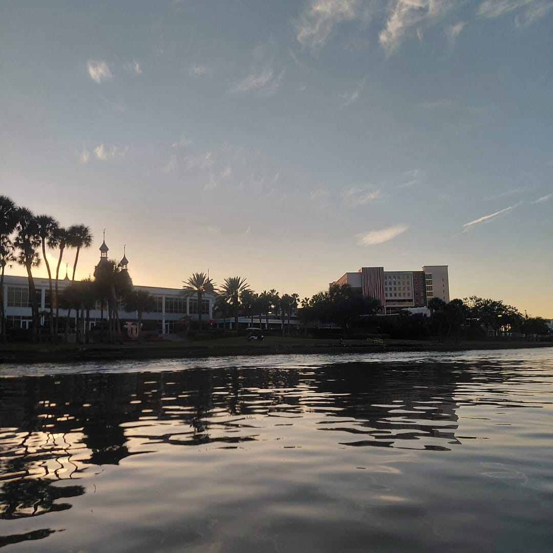 View of the Shore from a Boat on the River