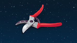 Pruning Shears Against Night Sky