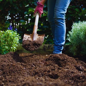 Person Digging in the Garden