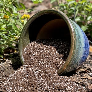 Good Soil Spilling Out of a Pot