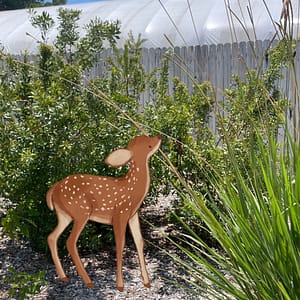 Deer with Plants