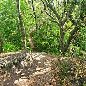 Top of a Descent on Chaos, Mountain Bike Trail