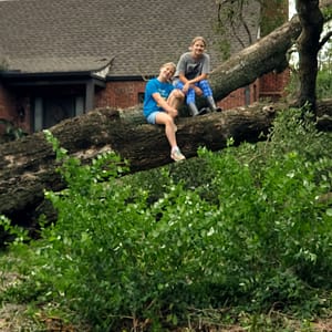 Girls Sitting on a Fallen Tree