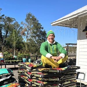 Joey as an Elf on Soil at Kerby's Nursery