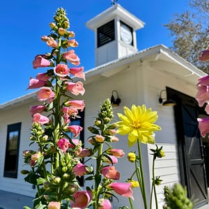 Kerby's Farmhouse with Flowers