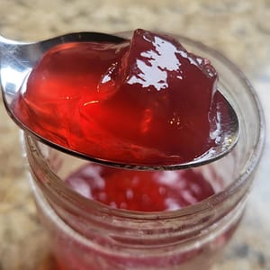 Beautyberry Jelly on a Spoon and in a Jar