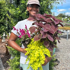 Lady Holding 3 Plants to Create a Thriller, Filler, Spiller