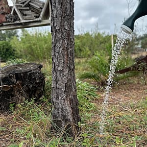 Water Pouring from a Watering Can to Water a Tree
