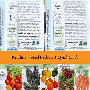 Pictures of Seed Packets, Front and Back