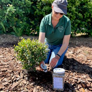 Kerby's Nursery Staff Fertilizing Plant