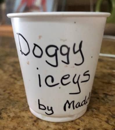 Cup that Says "Doggy Iceys by Maddy"