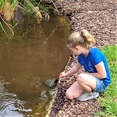 Maddy feeding a turtle