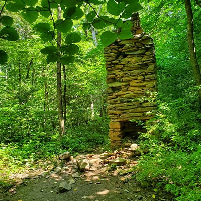 Forgotten Fireplace and Chimney