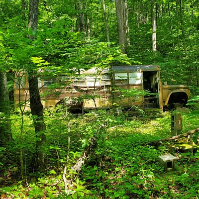 Forgotten Old Bus