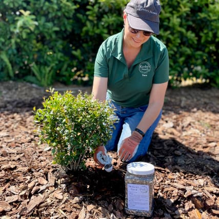 Kerby's Nursery Staff Fertilizing Plant