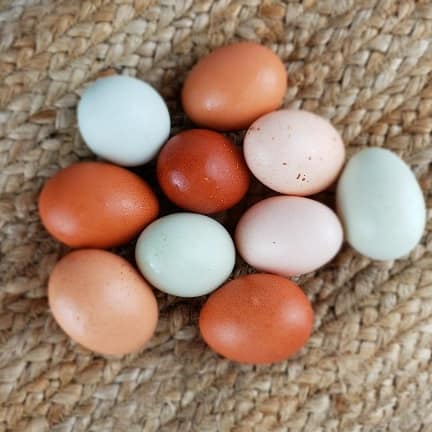Eggs of Different Colors
