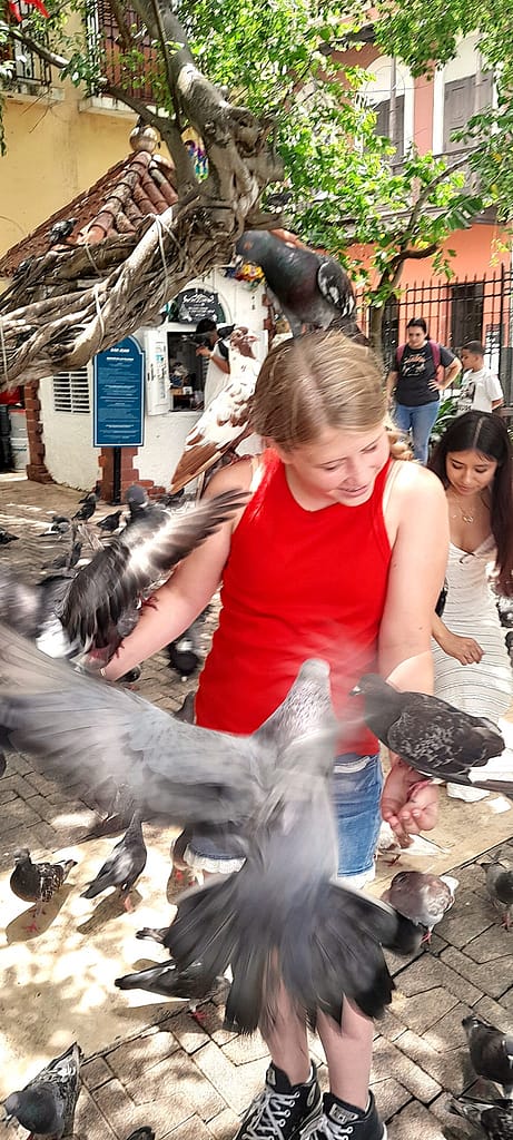 Girl Feeding Pigeons Landing on Her
