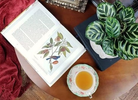 Cup of Tea, Calathea, Books on Table
