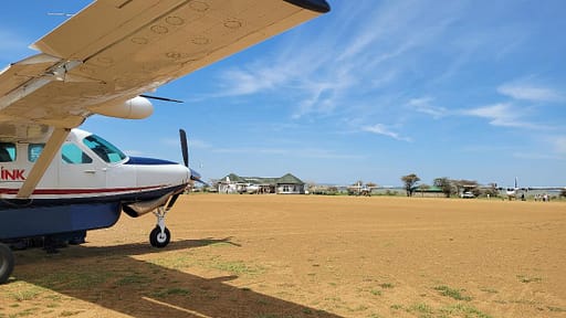 Small Plant to Fly to the Serengeti