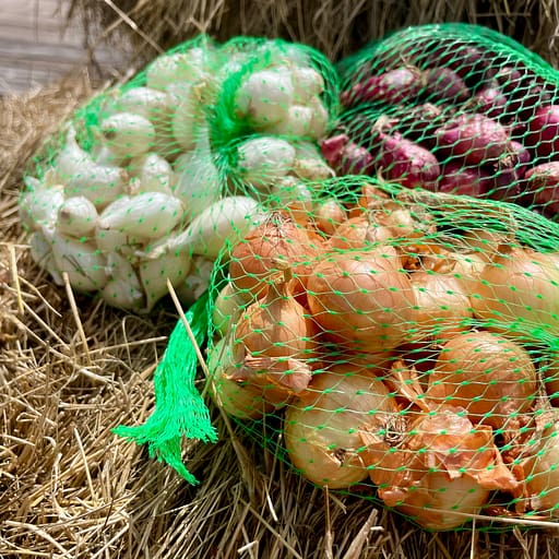 Onion Sets at Kerby's Nursery