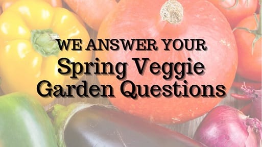 Picture of Vegetables for Kerby's Nursery Spring Veggie Q&A Video