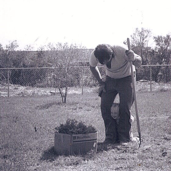 Joey (Toddler) and His Dad in the Garden