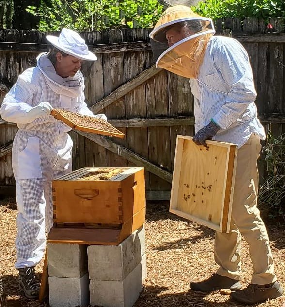 Kim and Joey Looking at Their Beehive Frames