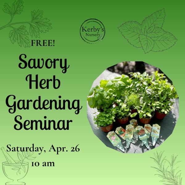 Kerby's Nursery Savory Herb Gardening Seminar, April 26, 2025