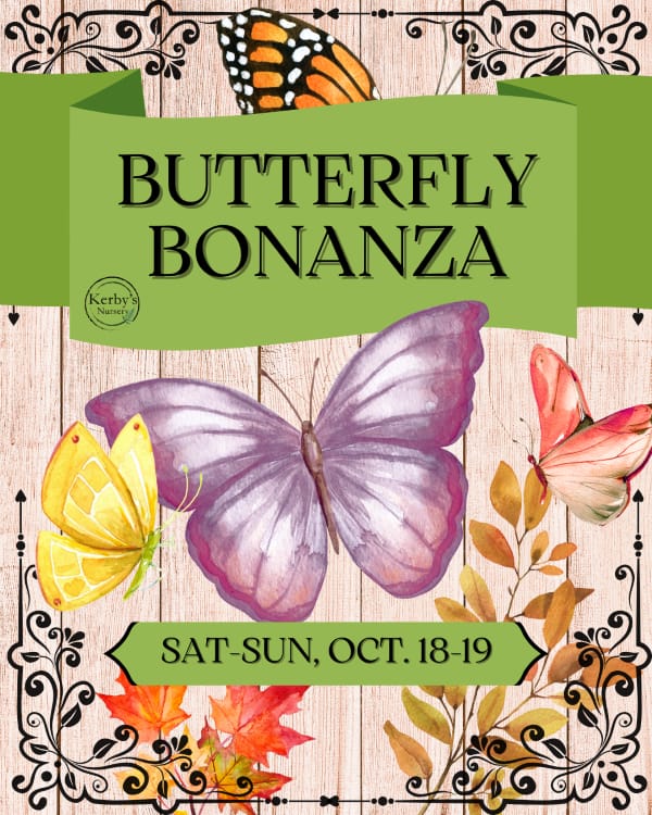 Kerby's Nursery Fall Butterfly Bonanza, October 18-19, 2025