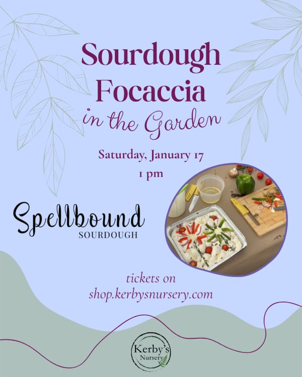 Sourdough Focaccia in the Garden Workshop at Kerby's Nursery, January 17, 2026