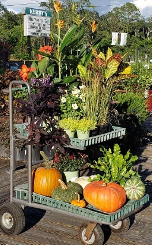 Cart Full of Fall Plants and Pumpkins