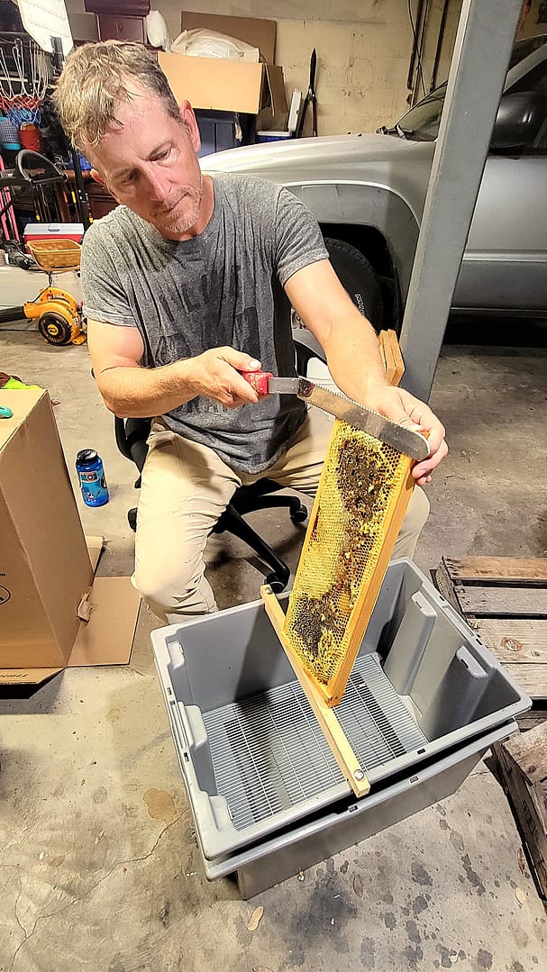 Man (Joey) Removing Honey from Honey Frame of Beehive