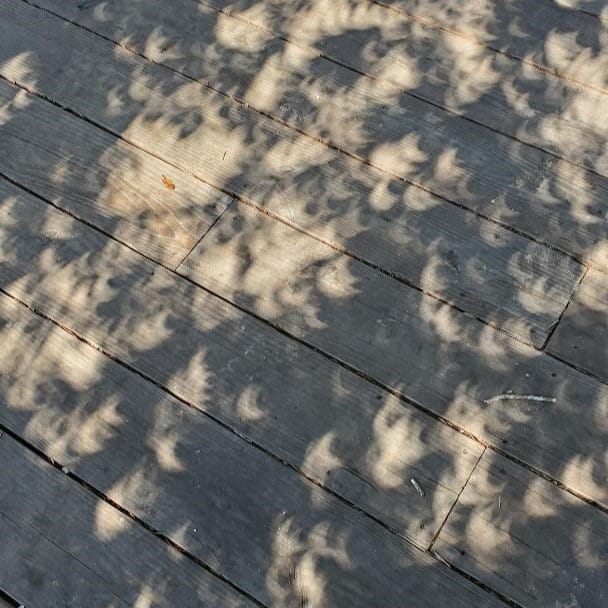 Crescent Moon-Shaped Light Created by Eclipse at Kerby's Nursery, October 14, 2023