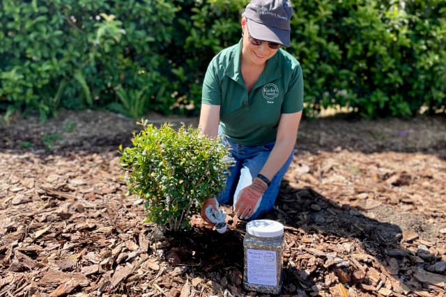 Woman fertilizing plant.