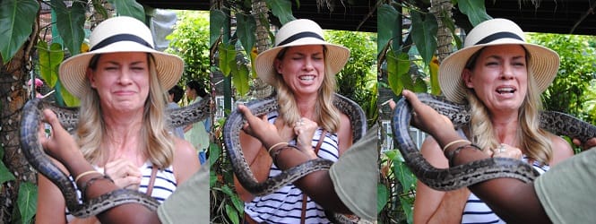 Lady with Snake Around Her Neck in 3 Photos