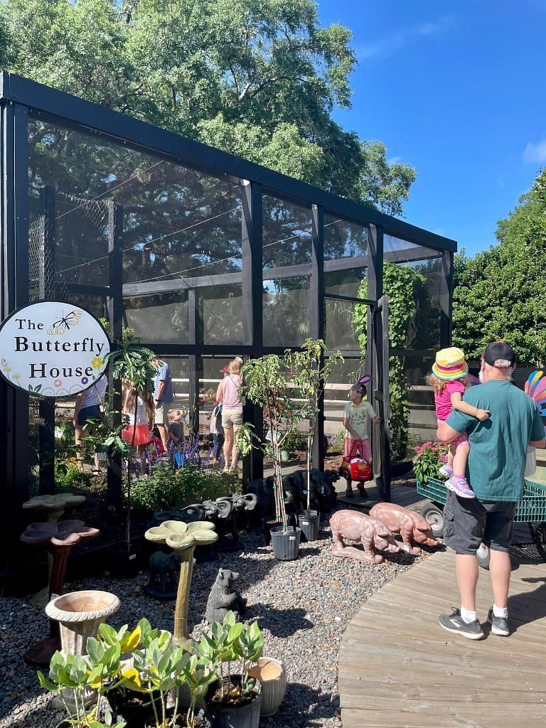 Kerby's Nursery Butterfly House