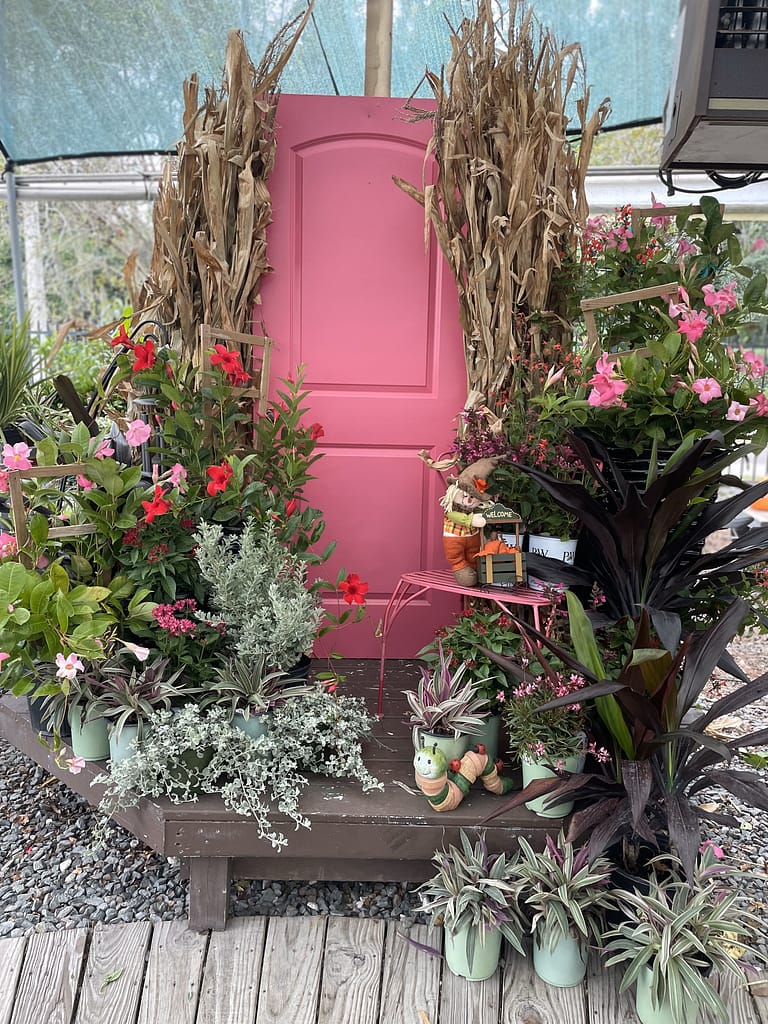 Pink Door with Fall Plants and Decor