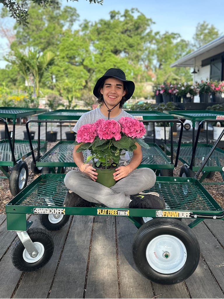 Leo, Kerby's Team Member Holding Pink Hydrangeas